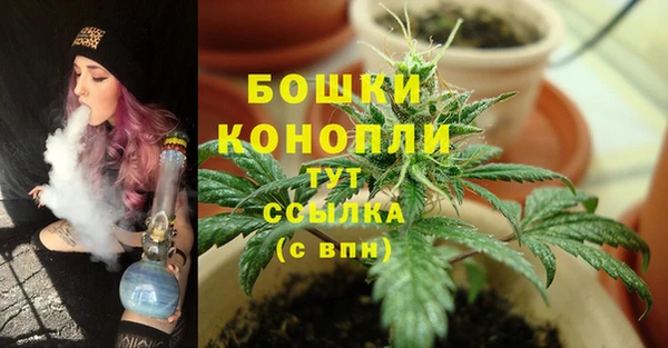 прущие крисы Арсеньев