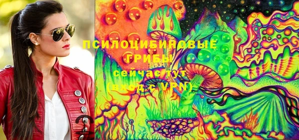 дурь Балахна