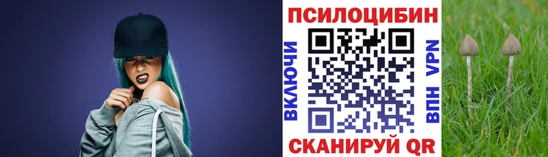 Псилоцибиновые грибы Psilocybe  гидра ТОР  Мценск 